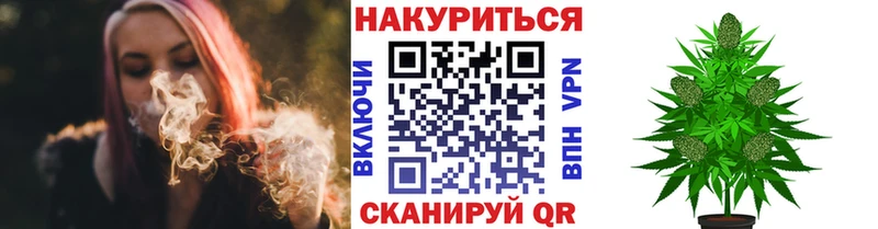 Бошки марихуана LSD WEED  кракен зеркало  Циолковский 